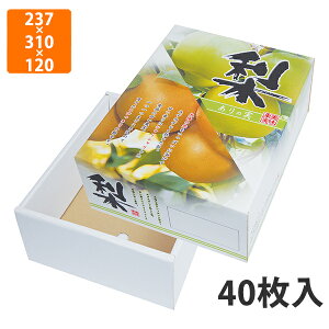 yϔzL-2338 E̎ 2kg@237×310×120mm (40)ysz t[cp Mtgp Mtg{bNX  ʕ p ʗp ʕp