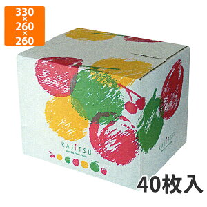 yϔzL-2359 ʎO@330×260×260mm (40)ysz t[cp Mtgp Mtg{bNX  ʕ p ʗp ʕp