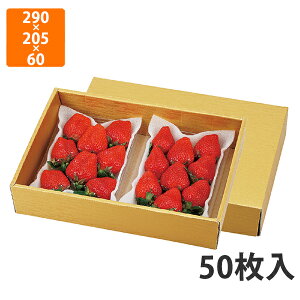 yϔzL-2363 S[h 28@290×205×60mm (50)ysz t[cp Mtgp Mtg{bNX  ʕ p ʗp ʕp