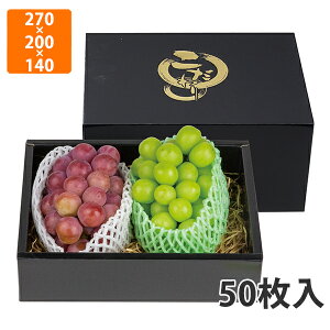 yBLACK FRIDAYGg[Ń|Cg7{zyϔzL-2371 ̍ 140H @270×200×140mmqg[75mmri50jysz t[cp Mtgp Mtg{bNX  ʕ p 