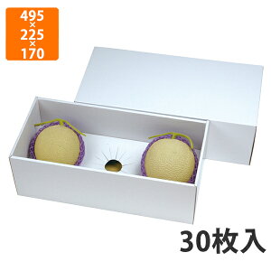 yC[OXӍՃGg[Ń|Cg5{IBLACK FRIDAY11/20zyϔzL-2384 zCg C3p 170@495×225×170mm (30)ysz t[cp Mtgp Mtg{bNX 