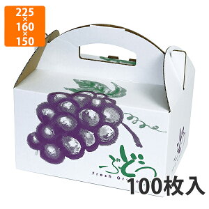 yϔzL-2395 Ԃǂ̗ @225×160×150mm (100)ysz t[cp Mtgp Mtg{bNX  ʕ p ʗp ʕp