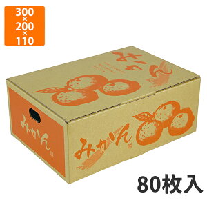 yϔzL-2397 ݂ 3kg@300×200×110mm (80)ysz t[cp Mtgp Mtg{bNX  ʕ p ʗp ʕp