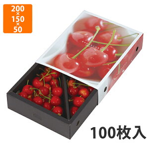 yϔzL-2416 ڃXChBOX@200×150×50mm (100)ysz t[cp Mtgp Mtg{bNX  ʕ p ʗp ʕp