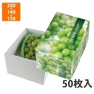 yϔzL-2433 VC}XJbg1[@200×140×130mm (50)ysz t[cp Mtgp Mtg{bNX  ʕ p ʗp ʕp