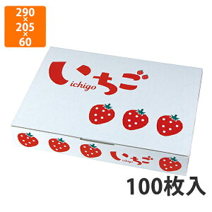 yϔzL-2440 CXg  2P@290×205×60mm (100)ysz t[cp Mtgp Mtg{bNX  ʕ p ʗp ʕp