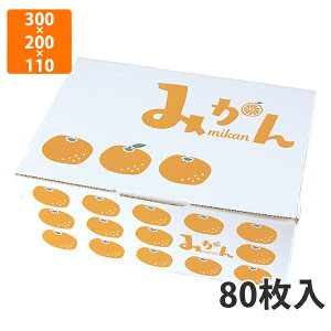yϔzL-2442 CXg ݂3kg@300×200×110mm (80)ysz t[cp Mtgp Mtg{bNX  ʕ p ʗp ʕp