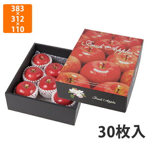 yϔzL-2446 tbVȂ񂲏@383×312×110mm (30)ysz t[cp Mtgp Mtg{bNX  ʕ p ʗp ʕp