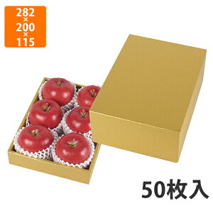 yϔzL-2448 S[hA\[g1@282×200×115mmqg[50mmr (50)ysz t[cp Mtgp Mtg{bNX  ʕ p ʗp ʕp