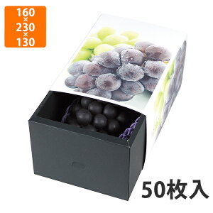 yϔzL-2454 XChBOX Ԃǂ@160×230×130mm (50)ysz t[cp Mtgp Mtg{bNX  ʕ p ʗp ʕp