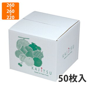 yϔzL-2458 ʎOij 260×260×220mm (50)ysz t[cp Mtgp Mtg{bNX  ʕ p ʗp ʕp