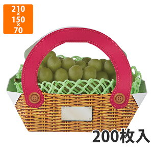 yϔzL-2461 oXPbg  sN@210×150×70mm^158×128mm (200)ysz t[cp Mtgp Mtg{bNX  ʕ p ʗp ʕp