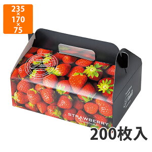 yϔzL-2481 Xgx[300g×2P@235×170×75mm (200)ysz t[cp Mtgp Mtg{bNX  ʕ p ʗp ʕp 