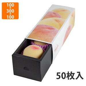 yϔzL-2482 XChBOX ij 100×300×100mm (50)ysz t[cp Mtgp Mtg{bNX  ʕ p ʗp ʕp