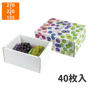 yC[OXӍՃGg[Ń|Cg5{IBLACK FRIDAY11/20zyϔzL-2486 ʂԂǂ  g[@270×220×135mmi40jysz t[cp Mtgp Mtg{bNX  ʕ