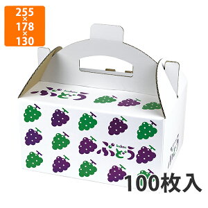 yGg[Ń|Cg7{zyϔzL-2493 CXg Ԃǂ 60@255×178×130mm (100)ysz t[cp Mtgp Mtg{bNX  ʕ p ʗp ʕp