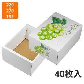 【化粧箱】L-2501 もぎたてのぶどう グリーン　220×270×135mm (40枚入)【代引不可】 フルーツ用 ギフト用 ギフトボックス 紙箱 果物箱 贈答用 青果用 果物用