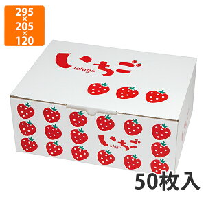 yϔzL-2503 CXgl300g4P 2iBOX@295×205×120mm (50)ysz t[cp Mtgp Mtg{bNX  ʕ p ʗp ʕp