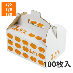 yϔzL-2505 CXg݂ 60@255×178×130mm (100)ysz t[cp Mtgp Mtg{bNX  ʕ p ʗp ʕp