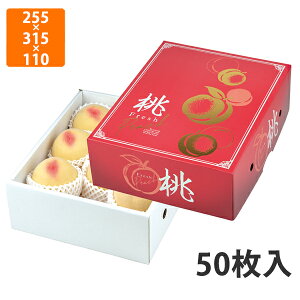 yԓGg[Ń|Cg7{zyϔzL-2507 O[Xs[` 2.5@255×315×110mm (50)ysz t[cp Mtgp Mtg{bNX  ʕ p ʗp ʕp