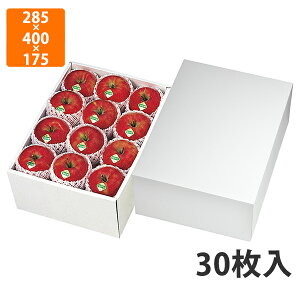 yϔzL-2511 zCg  [@285×400×175mm (30)ysz t[cp Mtgp Mtg{bNX  ʕ p ʗp ʕp