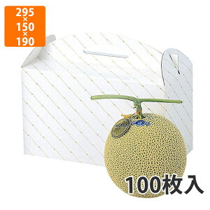yϔzL-255  2@295×150×190mm (100)ysz t[cp Mtgp Mtg{bNX  ʕ p ʗp ʕp