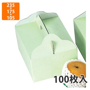 yϔzL-267 O[ @235×175×105mm (100)ysz t[cp Mtgp Mtg{bNX  ʕ p ʗp ʕp