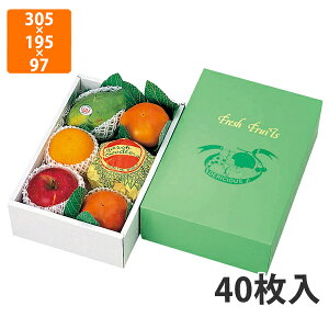 yϔzL-295 AWO[[h @305×195×97mm (40)ysz t[cp Mtgp Mtg{bNX  ʕ p ʗp ʕp