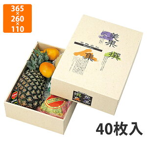 yϔzL-325 AFʐW B@365×260×110mm (40)ysz t[cp Mtgp Mtg{bNX  ʕ p ʗp ʕp