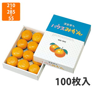 yϔzL-330 nEX݂@210×285×55mm (100)ysz t[cp Mtgp Mtg{bNX  ʕ p ʗp ʕp