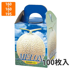 yϔzL-339T sA 1䎆t@160×160×195mm (100)ysz t[cp Mtgp Mtg{bNX  ʕ p ʗp ʕp