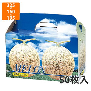 yϔzL-340T sA 2䎆t@325×160×195mm (50)ysz t[cp Mtgp Mtg{bNX  ʕ p ʗp ʕp