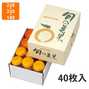 yϔzL-341 {̔ 5kg@220×330×140mm (40)ysz t[cp Mtgp Mtg{bNX  ʕ p ʗp ʕp