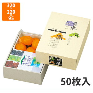 yϔzL-363 AFʐW @320×220×95mm (50)ysz t[cp Mtgp Mtg{bNX  ʕ p ʗp ʕp