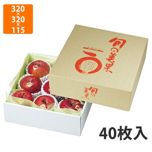 yϔzL-383 {̔9pp@320×320×115mm (40)ysz t[cp Mtgp Mtg{bNX  ʕ p ʗp ʕp