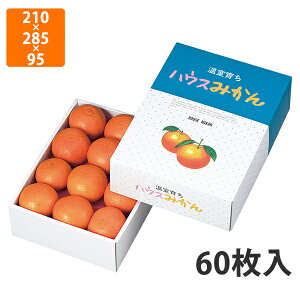 yϔzL-400 nEX݂2i@210×285×95mm (60)ysz t[cp Mtgp Mtg{bNX  ʕ p ʗp ʕp