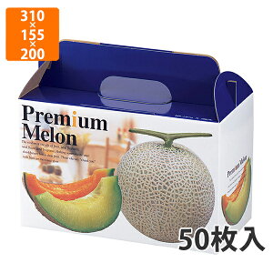 yϔzL-415 v~A 2@310×155×200mm (50)ysz t[cp Mtgp Mtg{bNX  ʕ p ʗp ʕp