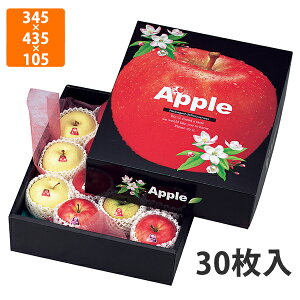 yϔzL-419 񂲂̍@345×435×105mm (30)ysz t[cp Mtgp Mtg{bNX  ʕ p ʗp ʕp