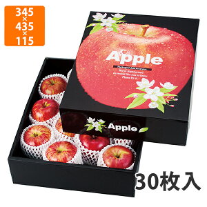 yϔzL-419MF 񂲂̍ g[@345×435×115mm (30)ysz t[cp Mtgp Mtg{bNX  ʕ p ʗp ʕp