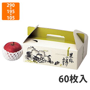 yϔzL-451 ʗт̎ij 290×195×105mm (60)ysz t[cp Mtgp Mtg{bNX  ʕ p ʗp ʕp