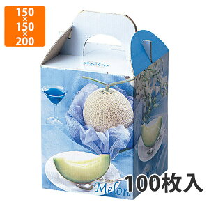 yϔzL-456 uAgu[1@150×150×200mm (100)ysz t[cp Mtgp Mtg{bNX  ʕ p ʗp ʕp