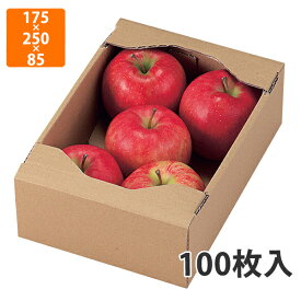 【化粧箱】L-469 C5サービス箱（小） 175×250×85mm (100枚入)【代引不可】 フルーツ用 ギフト用 ギフトボックス 紙箱 果物箱 贈答用 青果用 果物用 野菜