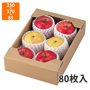 yϔzL-471 C5T[rXij 250×370×85mm (80)ysz t[cp Mtgp Mtg{bNX  ʕ p ʗp ʕp 