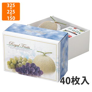 yϔzL-479 Cu[ [@325×225×150mm (40)ysz t[cp Mtgp Mtg{bNX  ʕ p ʗp ʕp