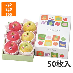 yϔzL-495 i`t[c @325×220×105qg[60rmm (50)ysz t[cp Mtgp Mtg{bNX  ʕ p ʗp ʕp