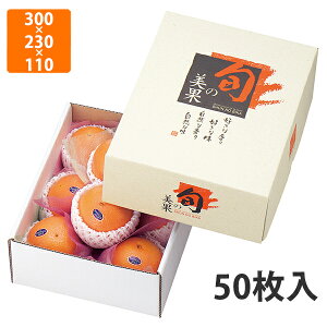 yϔzL-498 {̔ 3kg@300×230×110mm (50)ysz t[cp Mtgp Mtg{bNX  ʕ p ʗp ʕp