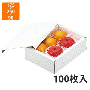 yϔzL-88 T[rX @175×250×90mm (100)ysz t[cp Mtgp Mtg{bNX  ʕ p ʗp ʕp