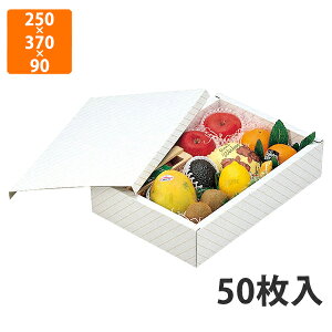 yϔzL-90 T[rX @250×370×90mm (50)ysz t[cp Mtgp Mtg{bNX  ʕ p ʗp ʕp