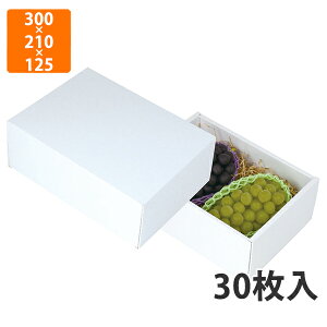 yϔzLTO-38 zCg2[@300×210×12mm (30)ysz t[cp Mtgp Mtg{bNX  ʕ p ʗp ʕp