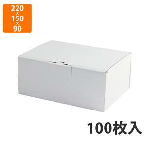 yBLACK FRIDAYGg[Ń|Cg7{IzyϔzEE-91W ͂z 9cm 1@220×150×90mm (100)ysz Mtg  HHip p p zp ͂